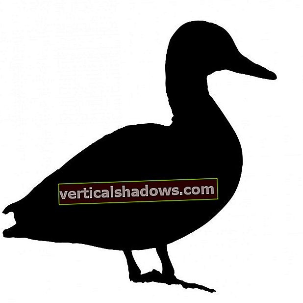 Black Ducks mission: At finde usikker open source-kode i virksomheden